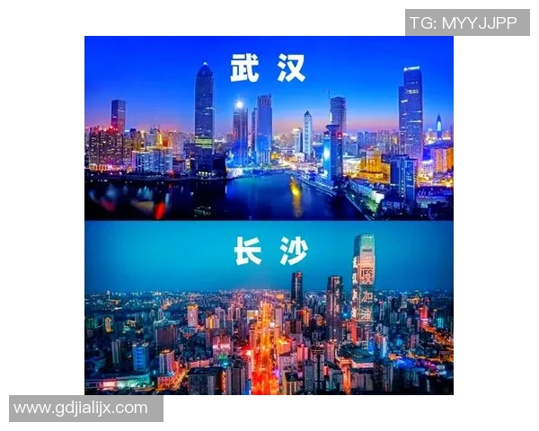 武汉羽毛球队整体表现分析：压制对手与失误的双重影响